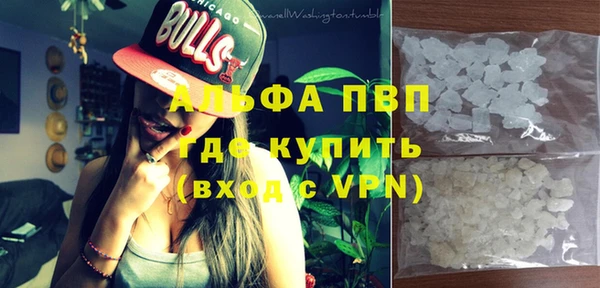 шишки Дмитриев