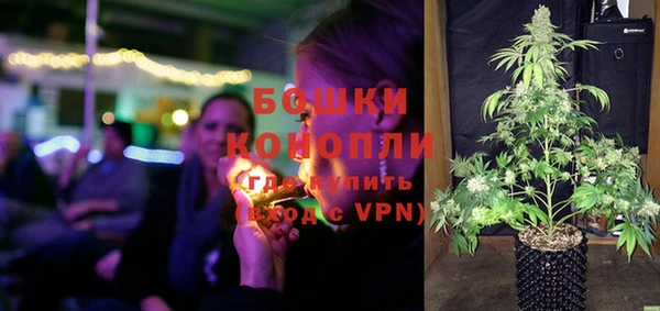 шишки Дмитриев