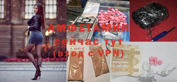 сатива Дмитровск