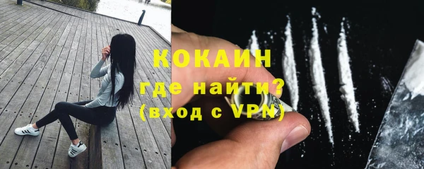 прущие грибы Елабуга