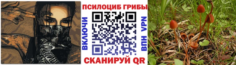 Псилоцибиновые грибы мухоморы  Данков 