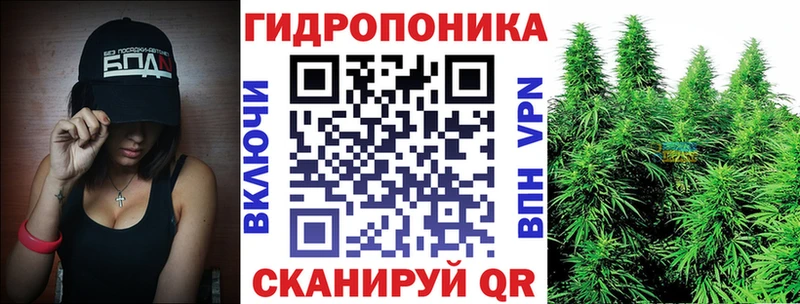 Бошки Шишки ГИДРОПОН  Данков 